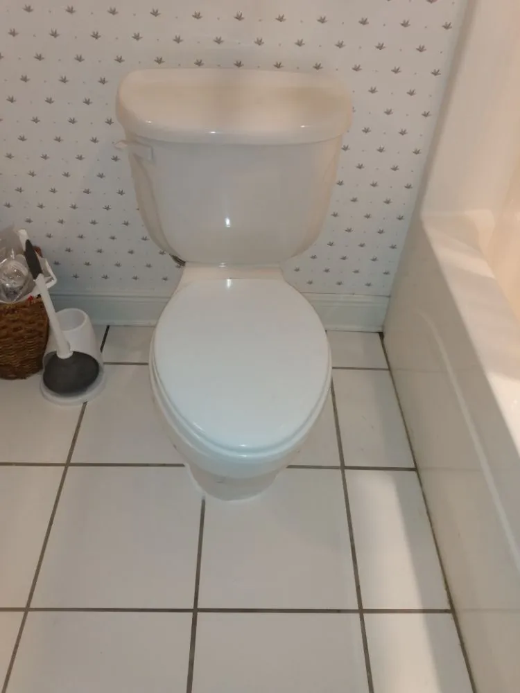 Reliable plumbing repair service in Seminary, MS - The Plumbing Advisor