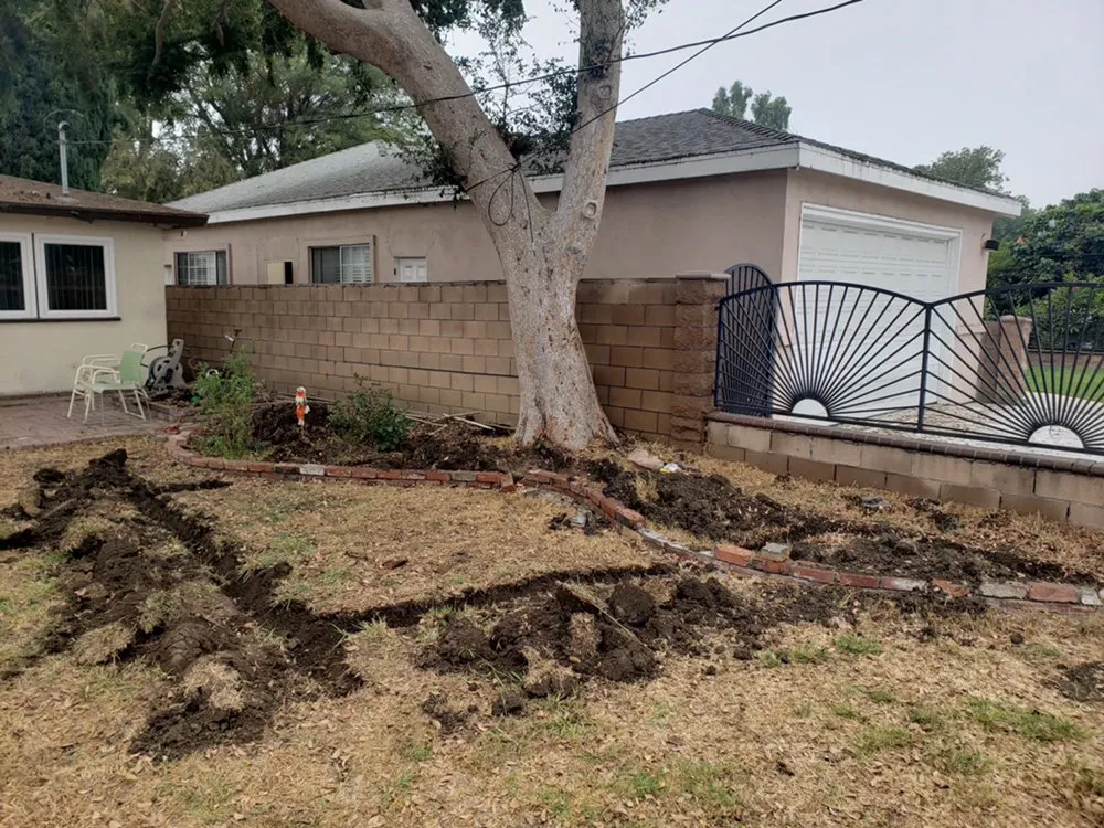 Professional emergency plumbing experts serving Los Angeles, CA - The Plumbing And Sewer Surgeons