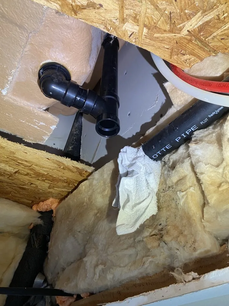 Trusted drain cleaning service in Los Angeles, CA - The Plumbing And Sewer Surgeons