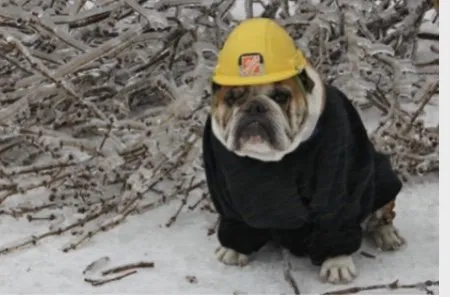 Slide of The Plumbing Company