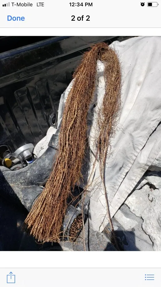 Slide of The Plumbing Company