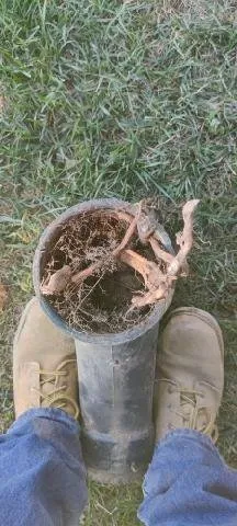 Slide of The Plumbing Company