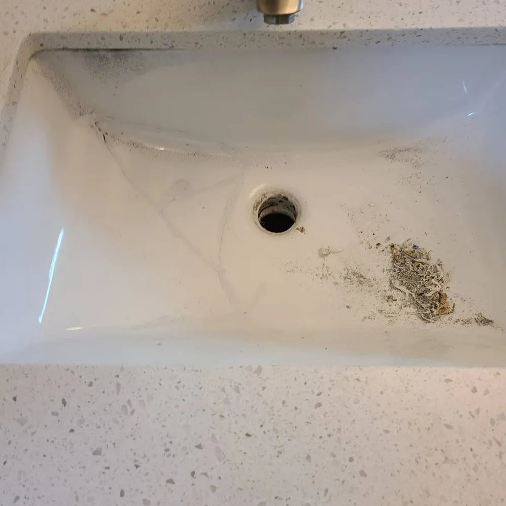 Slide of The Plumbing Company