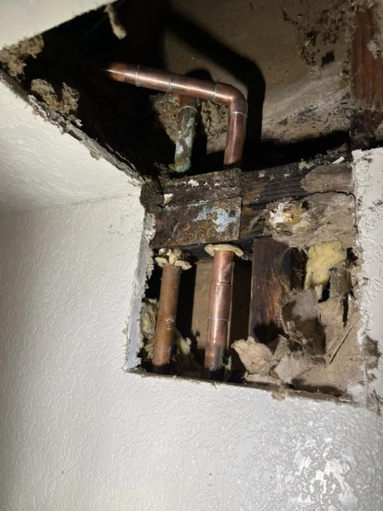 Slide of The Plumbing Company