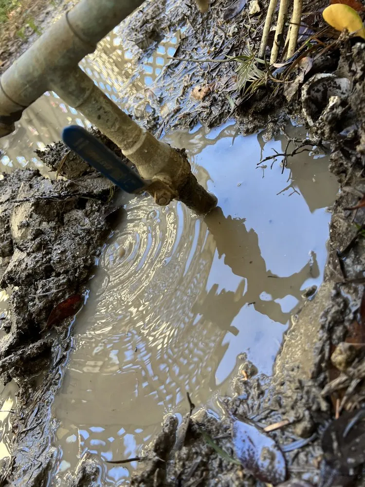 Slide of The Plumbing Company