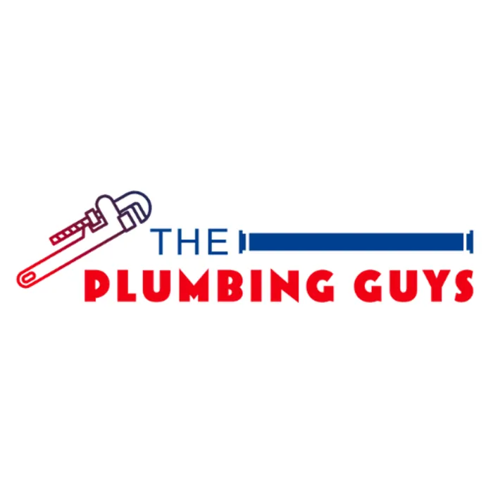 Slide of The Plumbing Guys