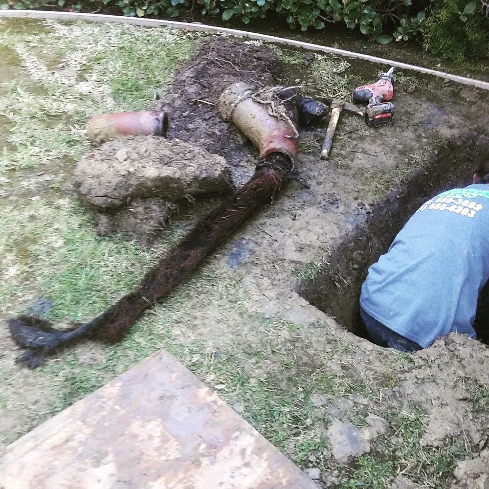 Slide of The Plumbing Guys