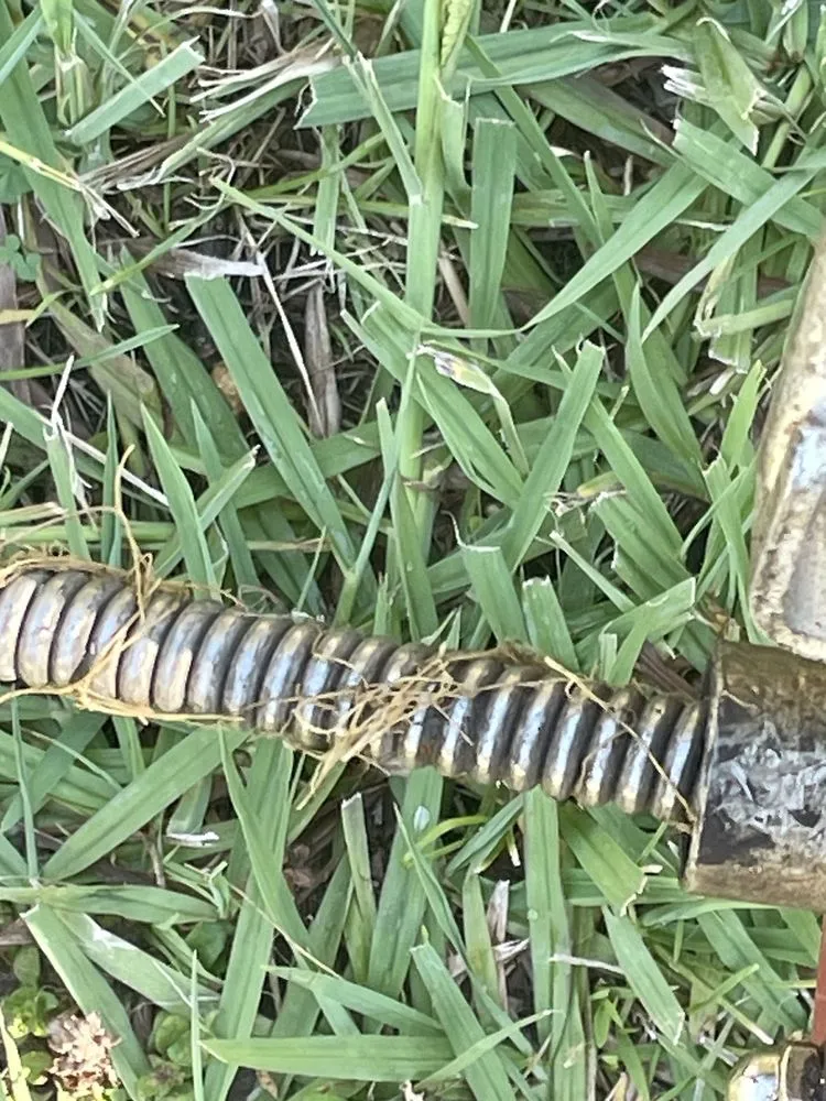 Slide of The Plumbing Machines