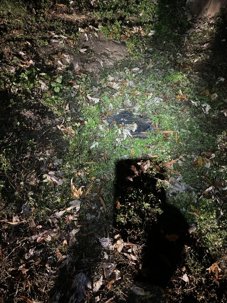 Slide of The Plumbing Officials