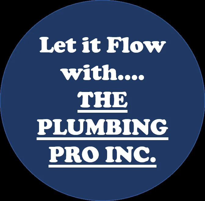 Slide of The Plumbing Pro