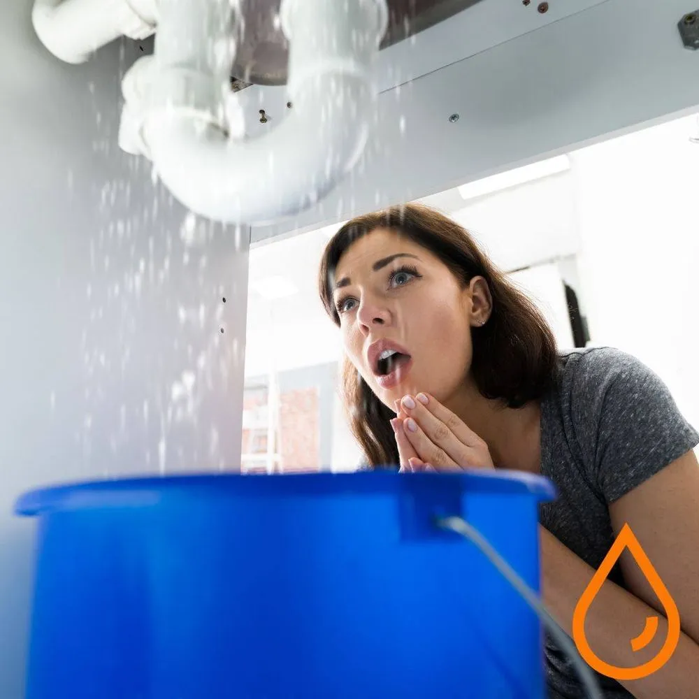 Slide of The Plumbing Pros