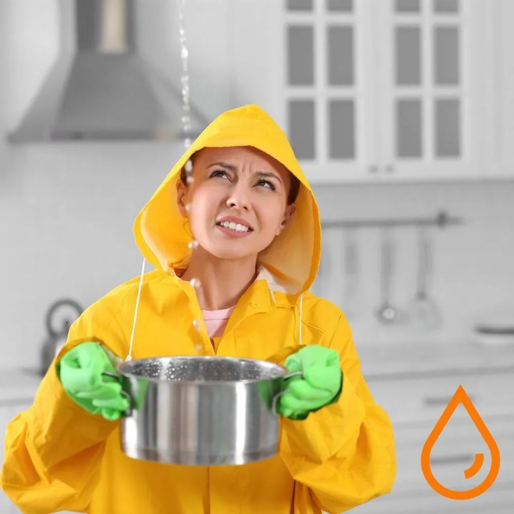 Slide of The Plumbing Pros