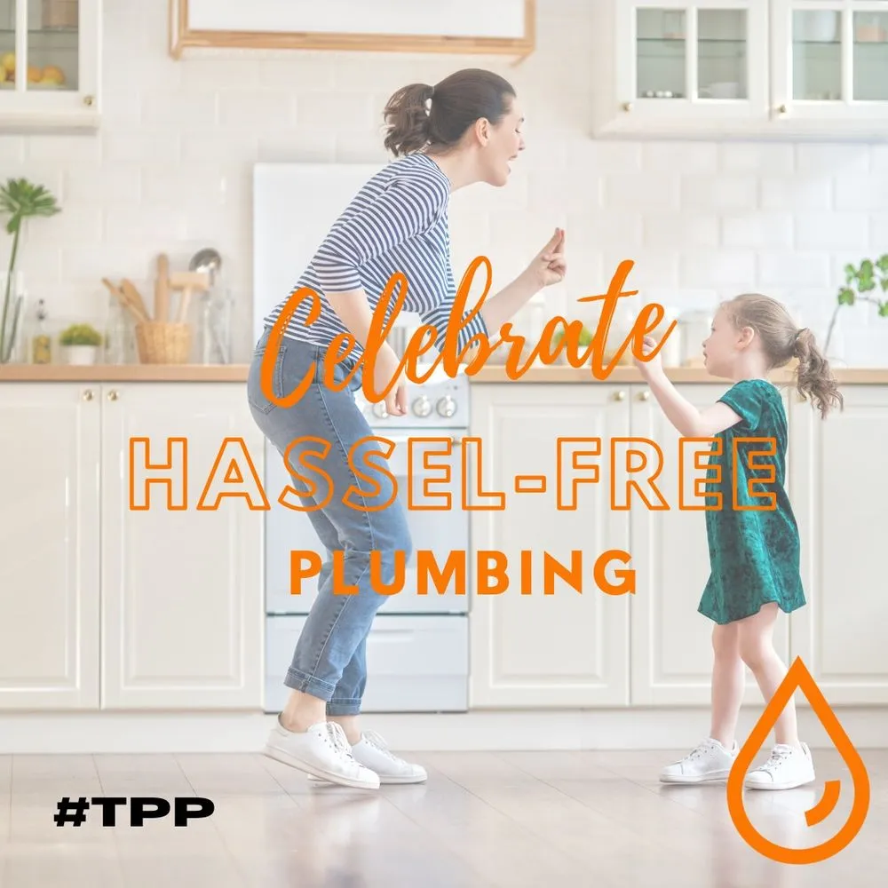 Slide of The Plumbing Pros