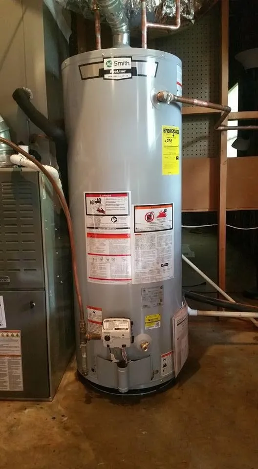 Slide of The Plumbing Shark