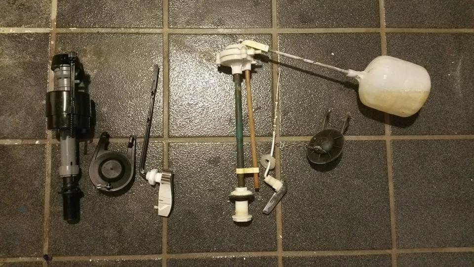 Slide of The Plumbing Shark