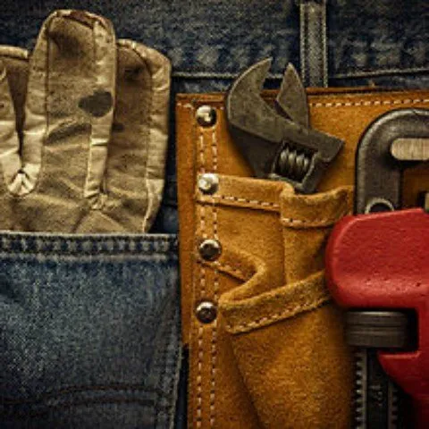 Slide of The Plumbing Shark