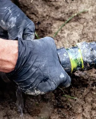 The Plumbing Shark Logo