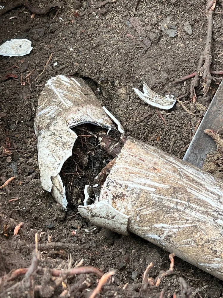 Slide of The Plumbing Stars