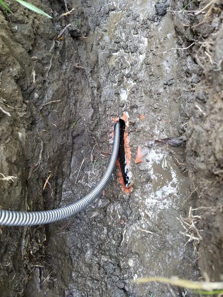 Slide of The Plumbing Surgeon