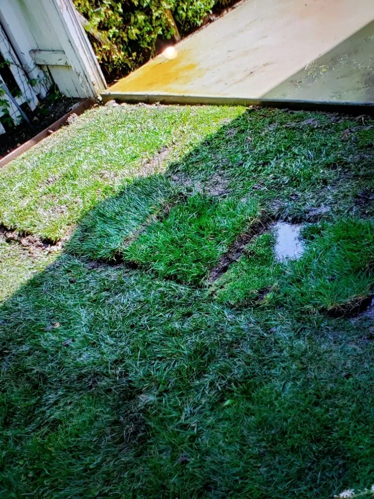 Slide of The Plumbing Surgeon