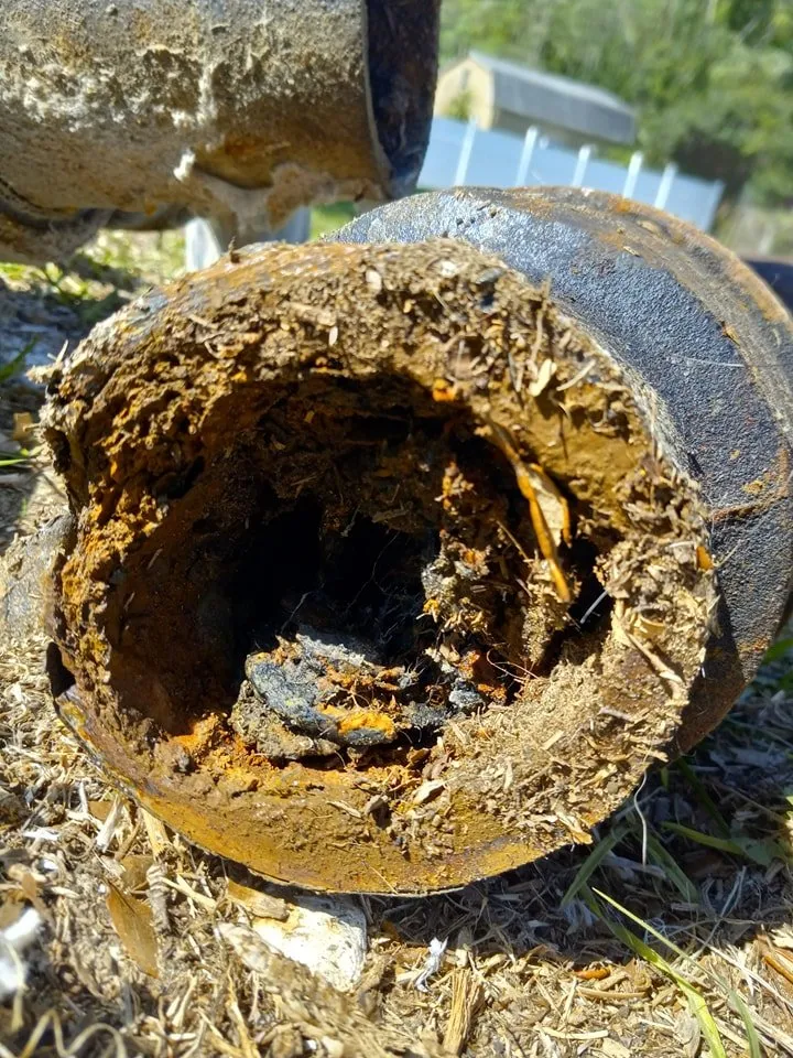 Slide of The Plumbing Wizard