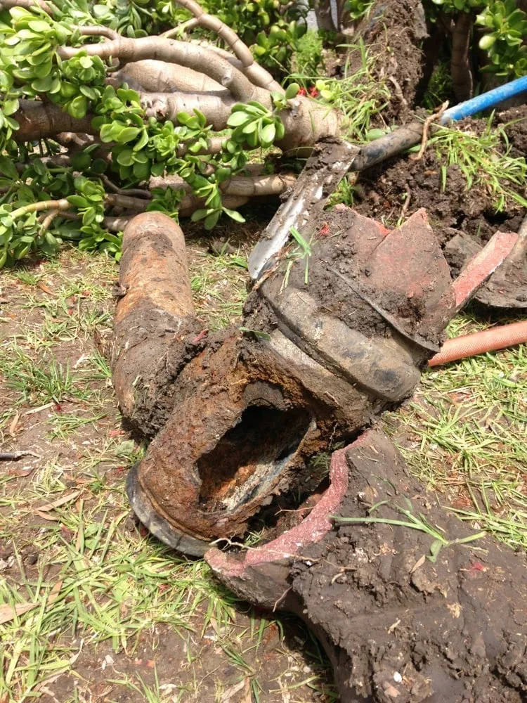 Slide of The Plumbologist