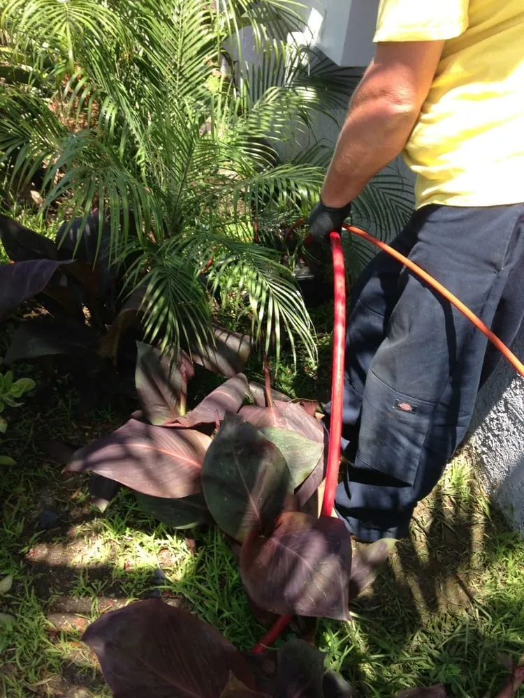 Affordable pipe repair experts serving Santa Clarita, CA - The Plumbologist