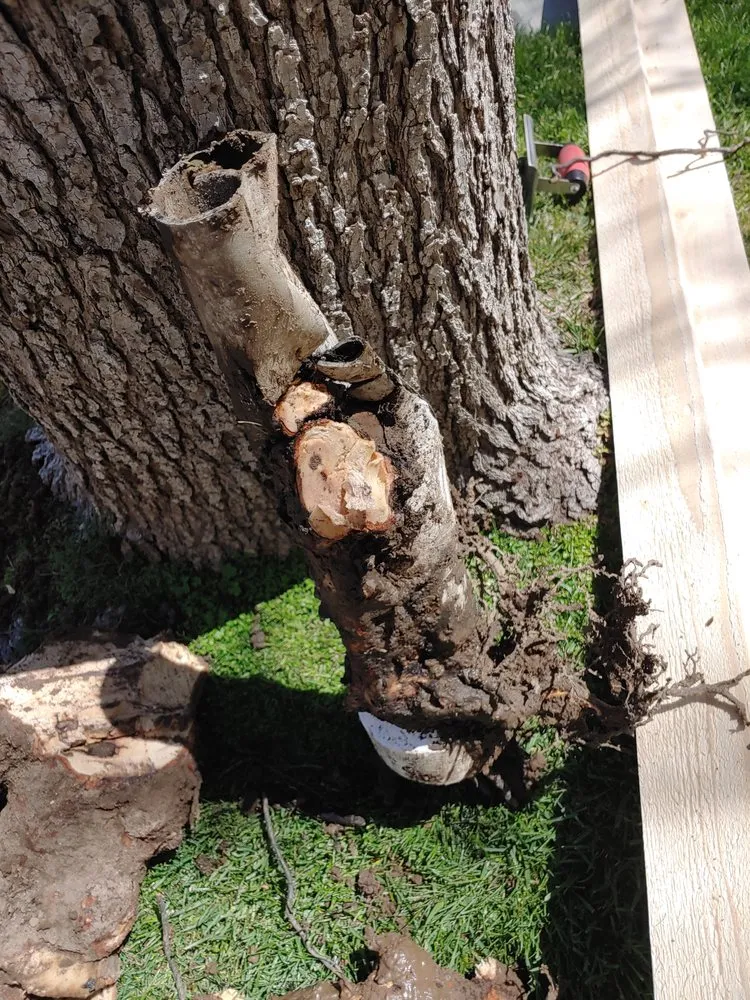 Expert leak detection in Santa Clarita, CA by The Plumbologist