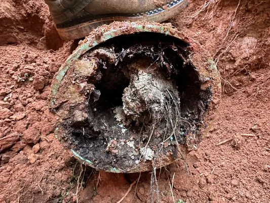 The Professional Plumber Logo