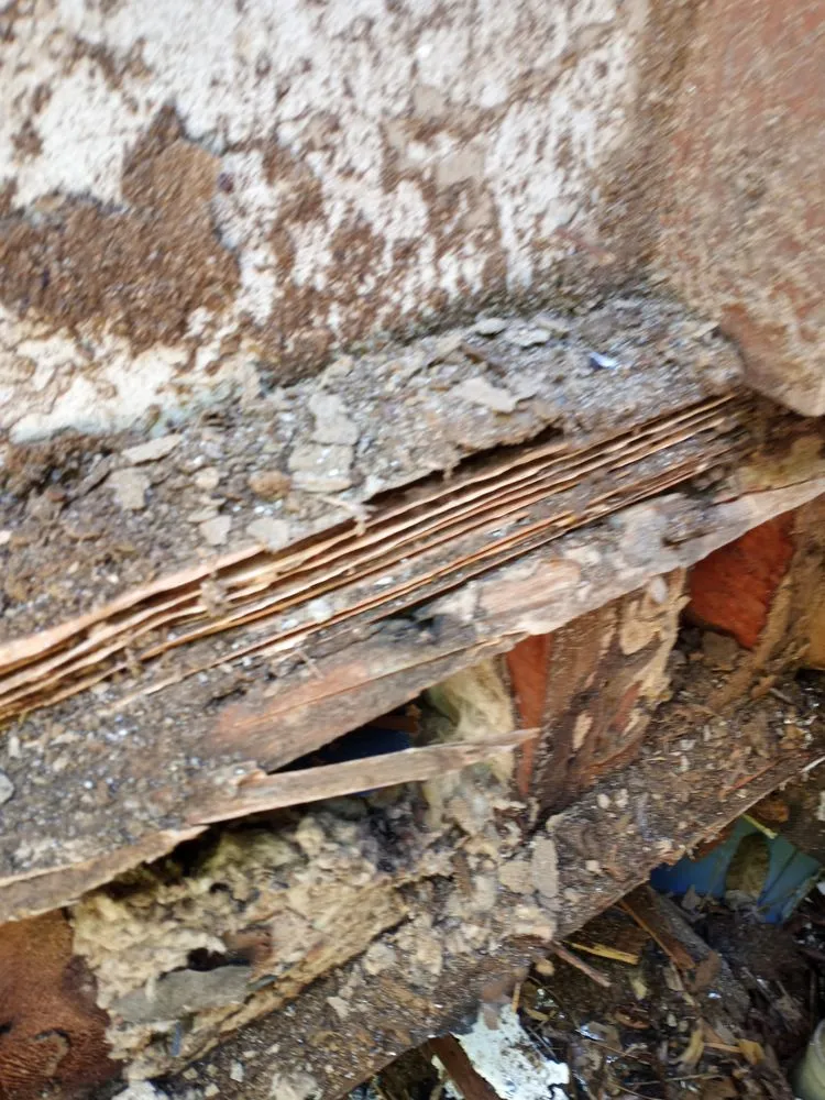 Slide of The Remodel Team