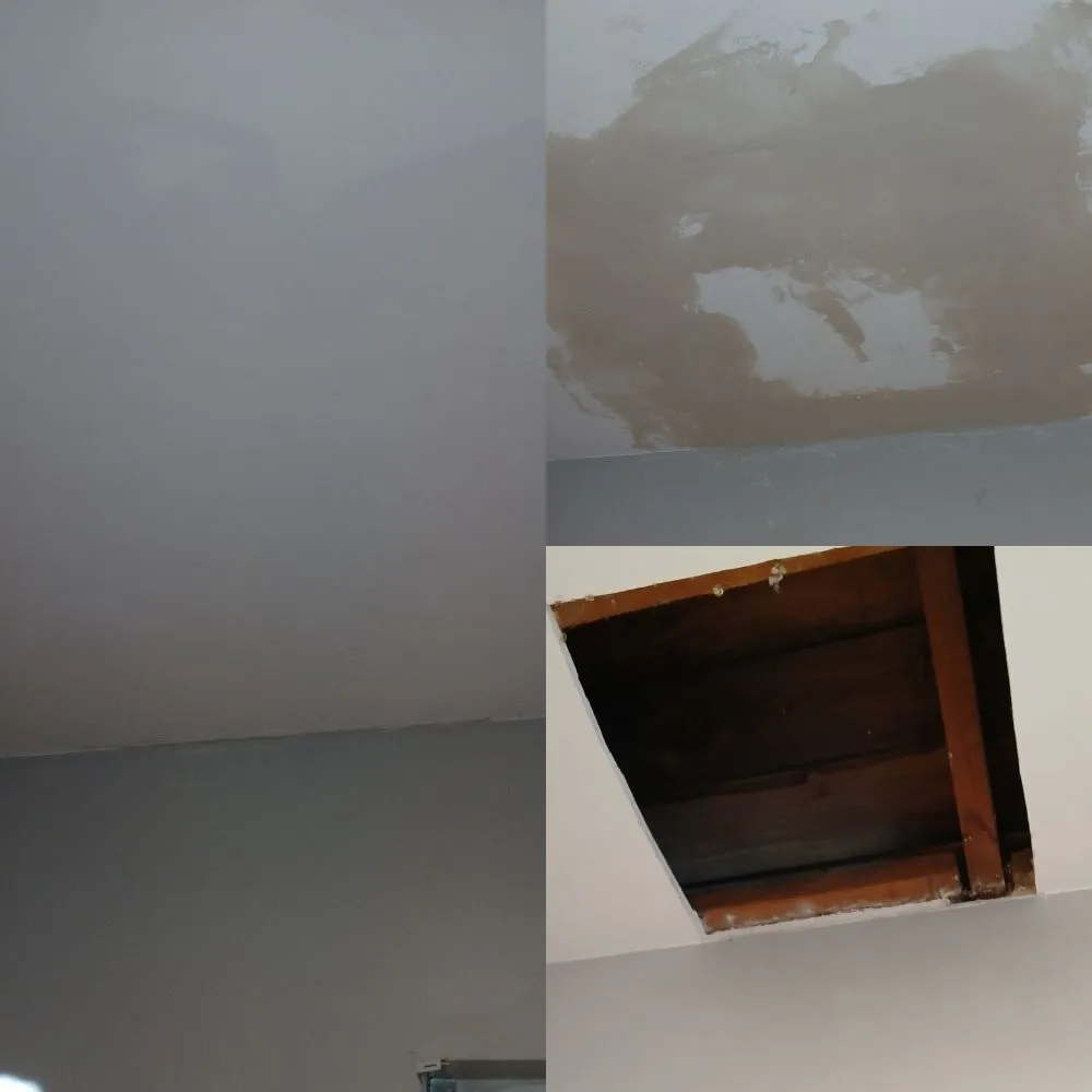 Slide of The Response Team