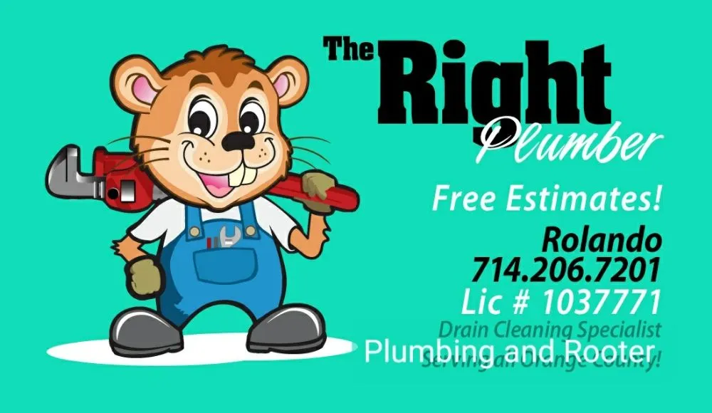 Slide of The Right Plumber