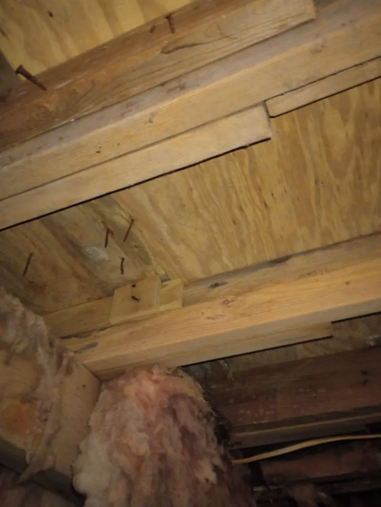 Slide of The Right Touch