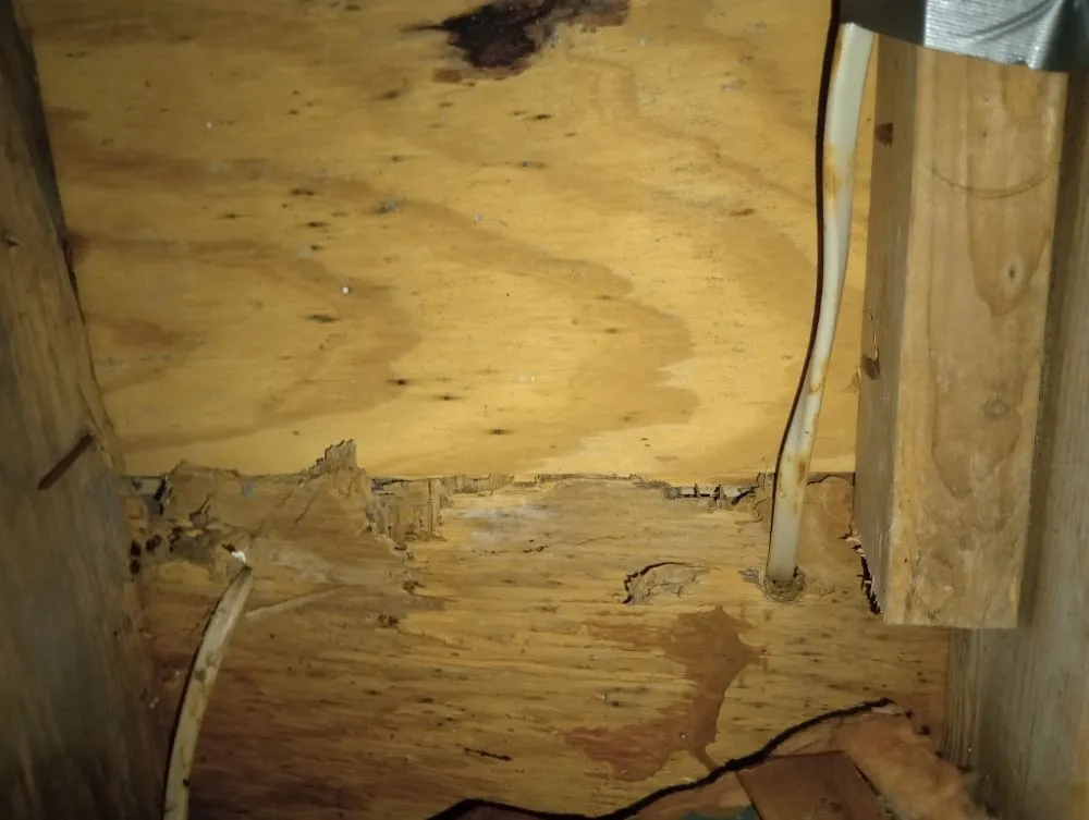 Slide of The Right Touch