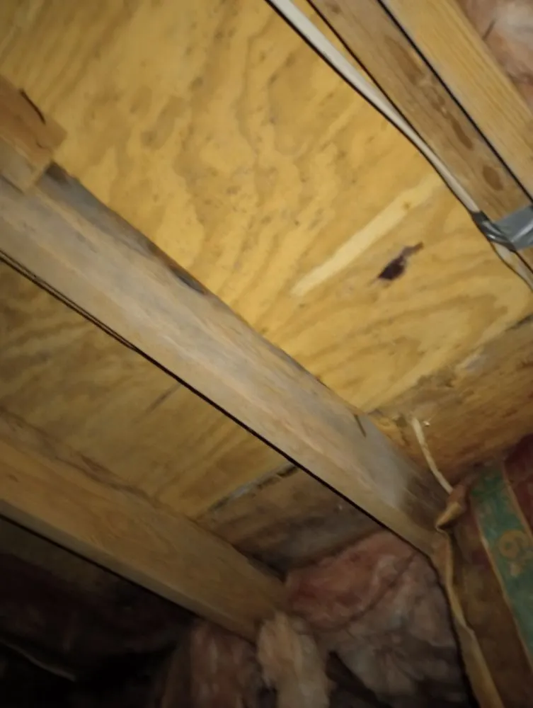 Slide of The Right Touch