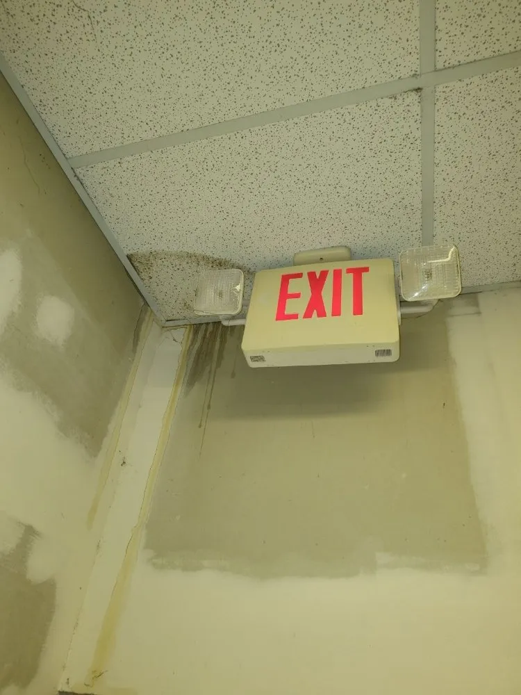 Slide of The Right Touch