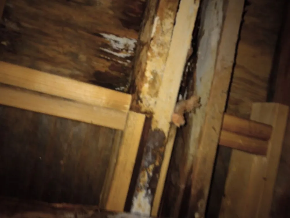 Slide of The Right Touch