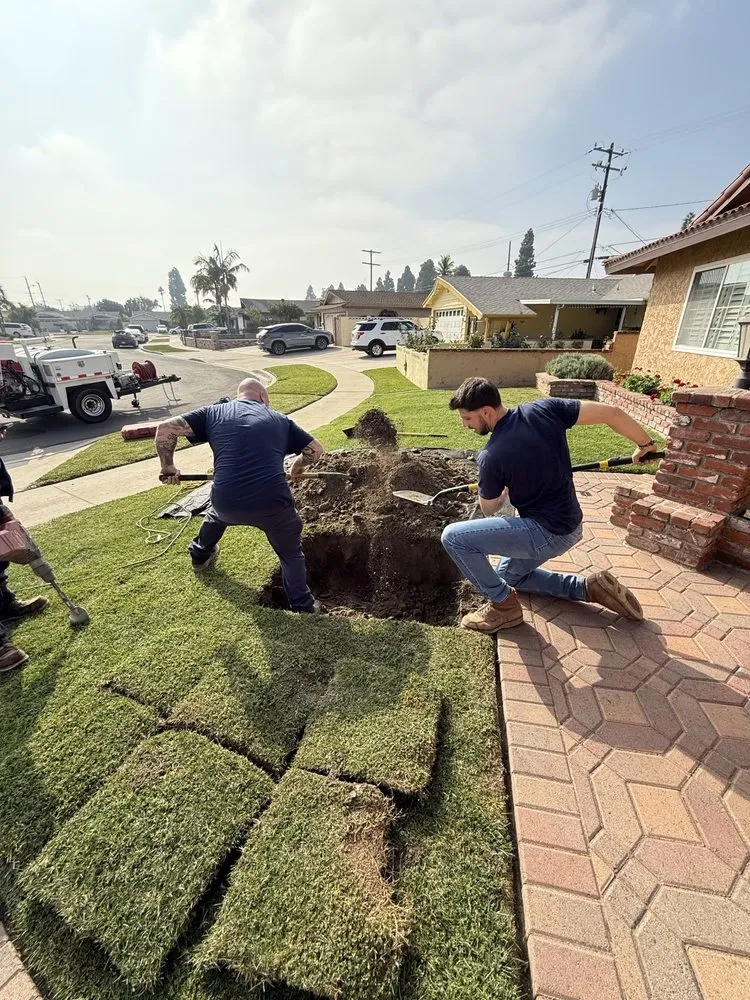 Slide of The Rooter Company