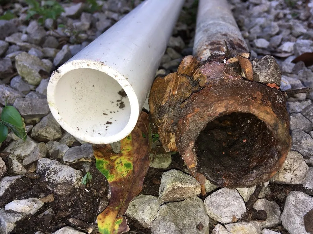 Slide of The Rooter Wizard