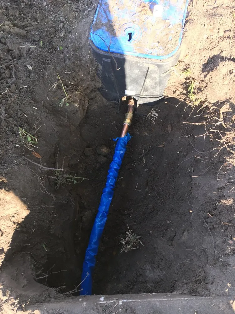 Slide of The Rooter Wizard