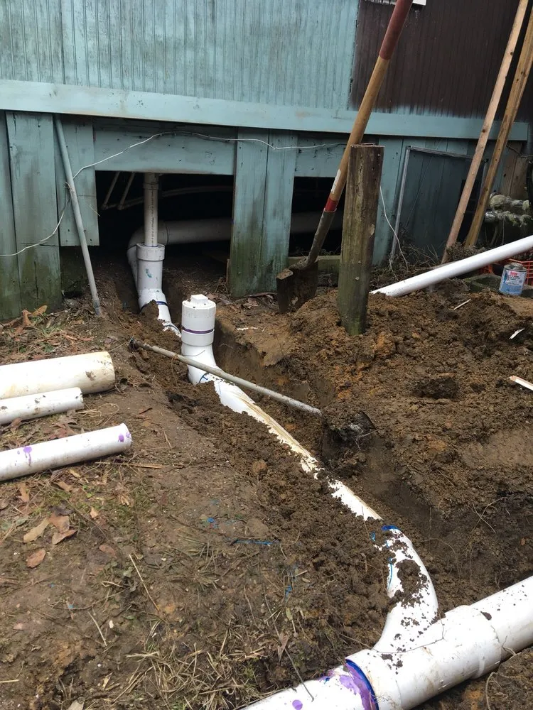 Slide of The Rooter Wizard