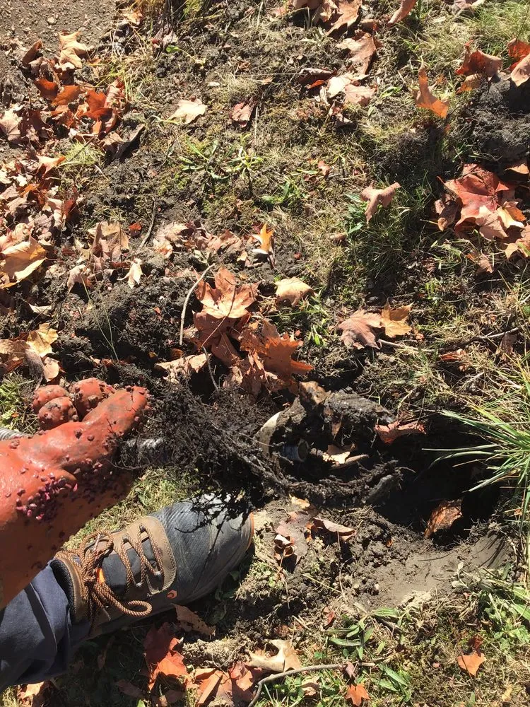 Slide of The Rooter Works Plumbing and Drains