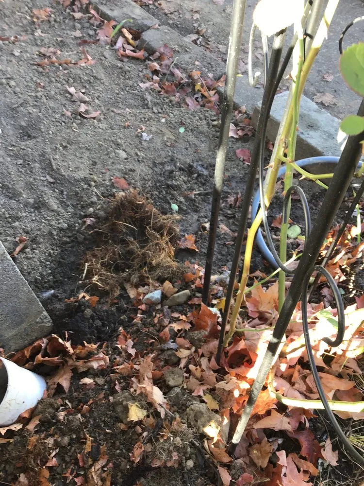 Slide of The Rooter Works Plumbing and Drains