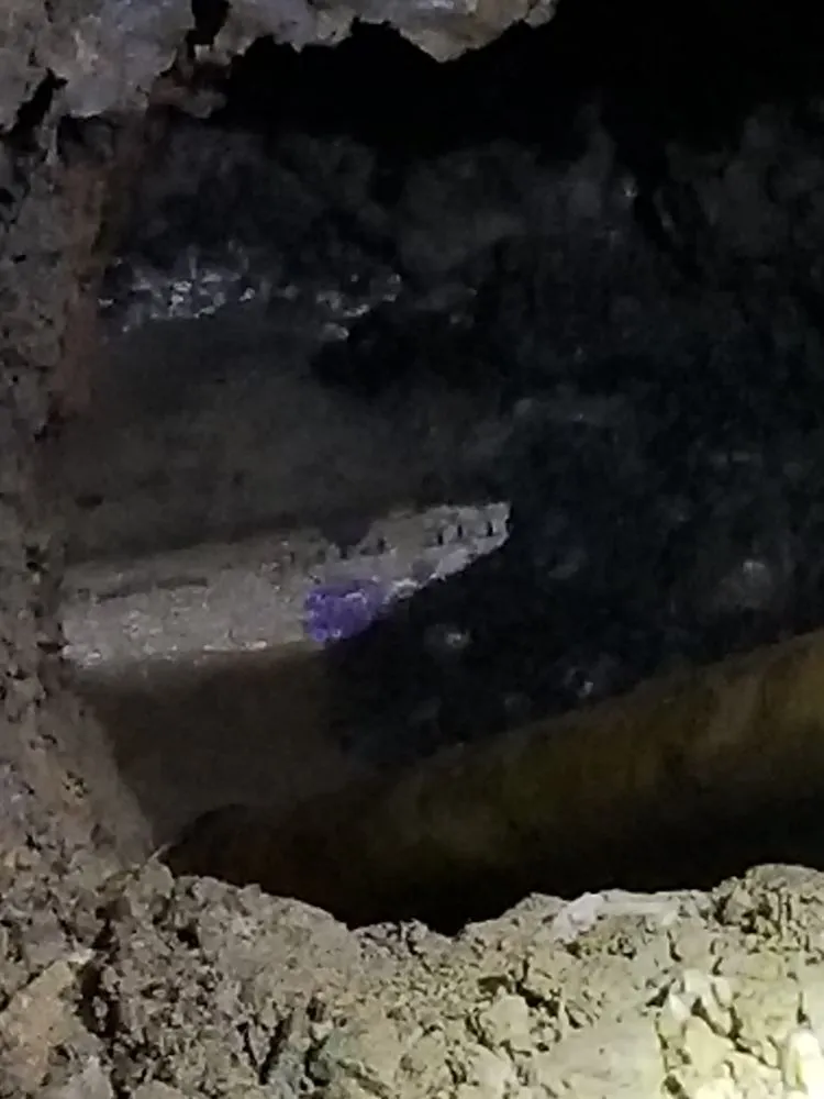 Slide of The Royal Flush Plumbing