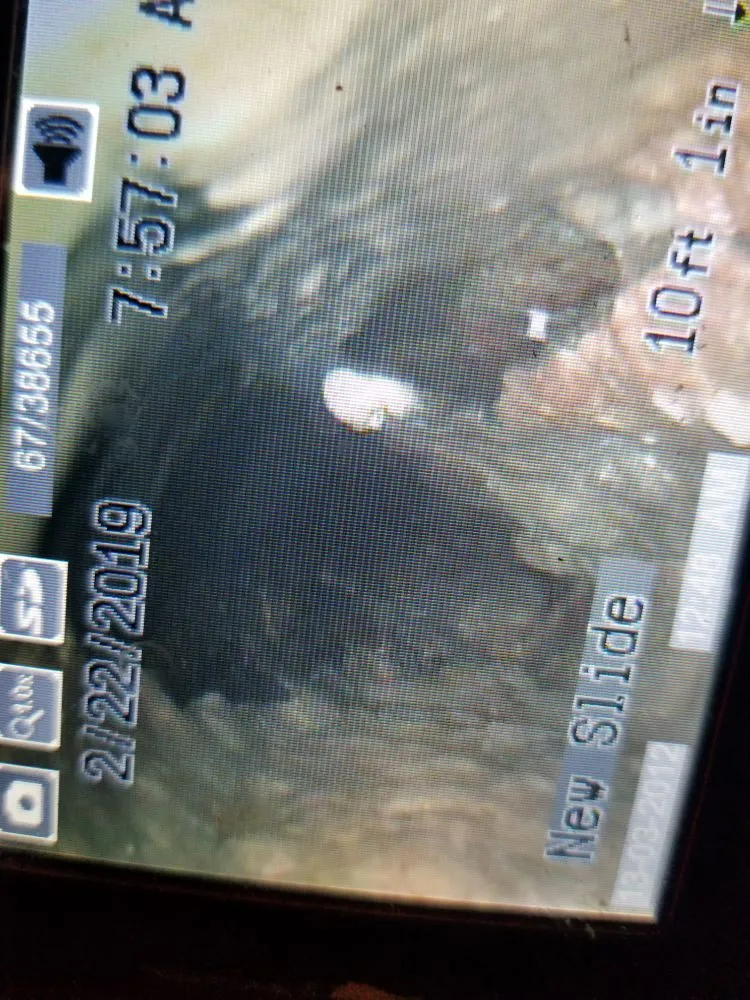 Slide of The Royal Flush Plumbing