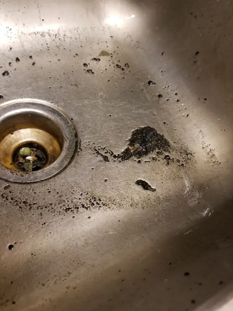 Slide of The Royal Flush Plumbing