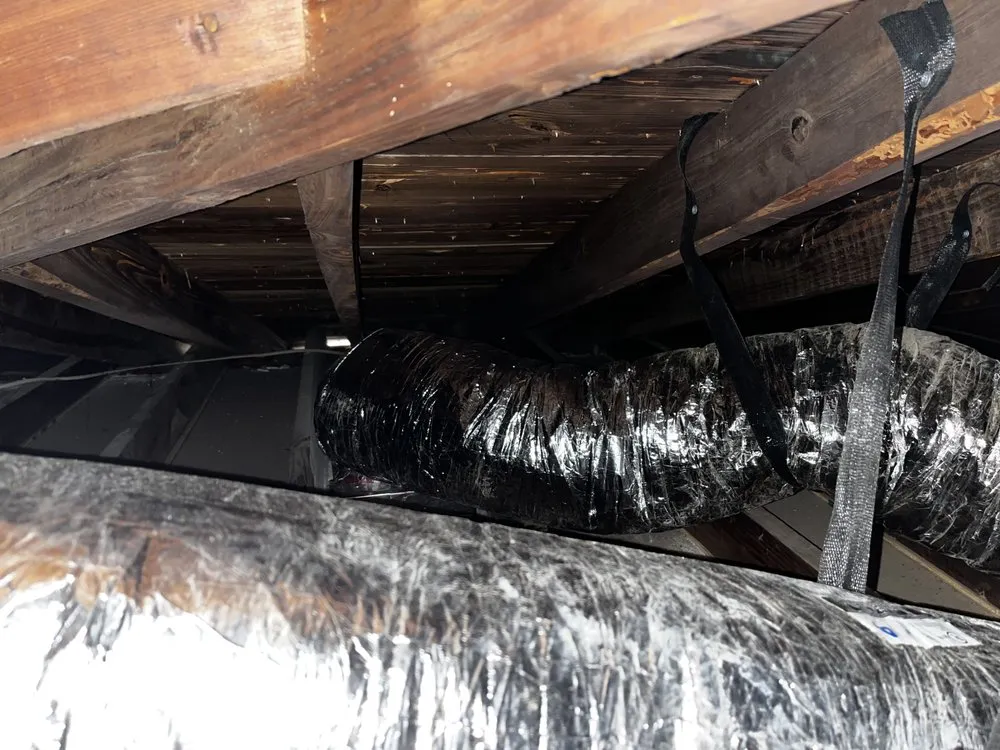 Expert pipe repair for homes in St. Petersburg, FL by The Service Pros