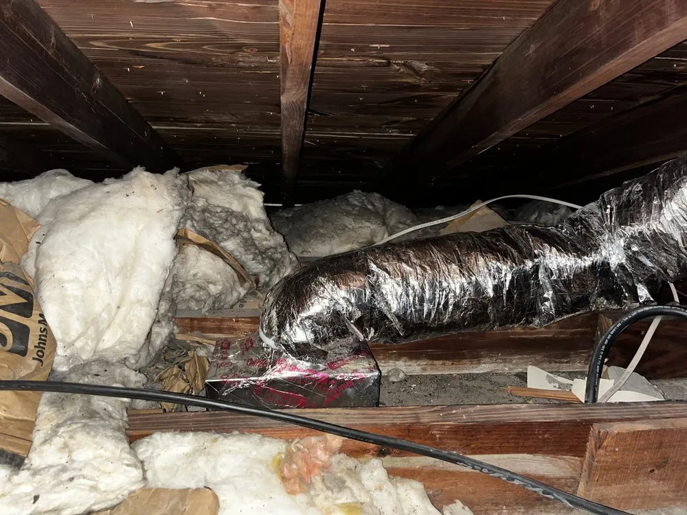 Emergency emergency plumbing for homes in St. Petersburg, FL by The Service Pros