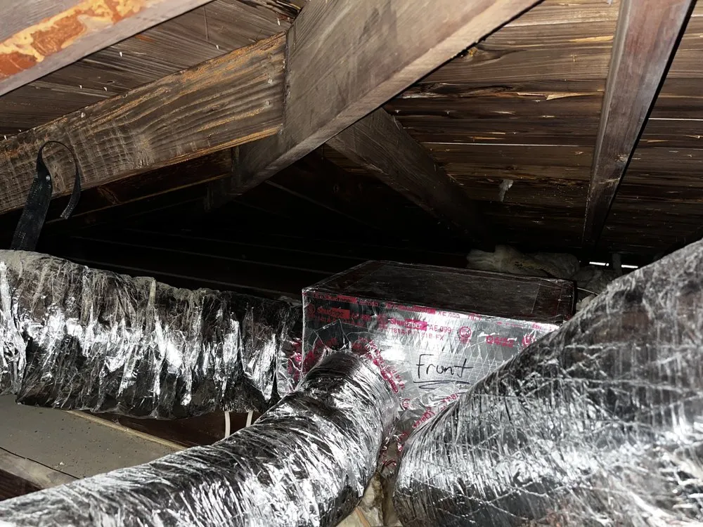 Trusted plumbing repair in St. Petersburg, FL by The Service Pros