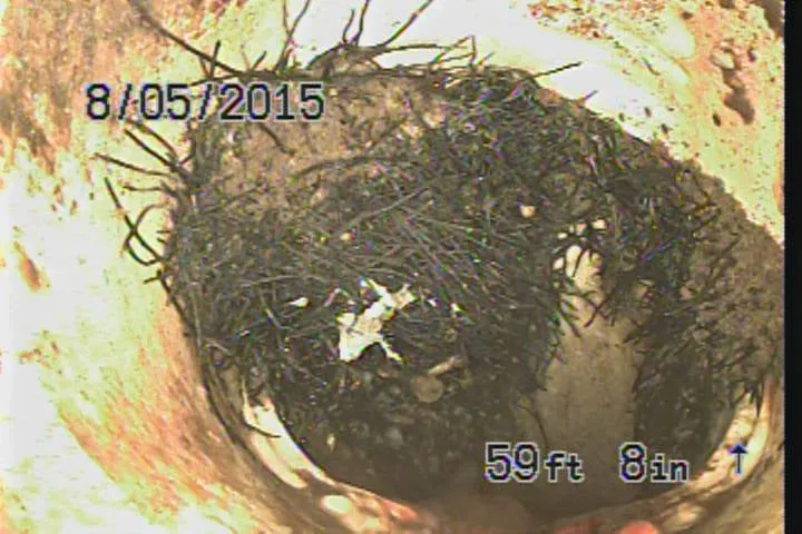 Slide of The Sewer Pros